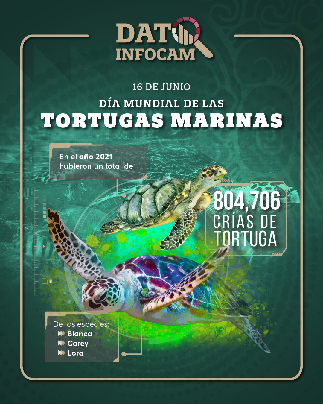 Logo 16